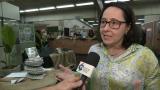 Esalq Notícias 317/2023 -  Pesquisadores da Esalq lançam Guia de Coexistência com a Fauna
