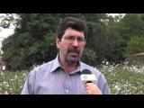 TV USP Informa n.º 31
